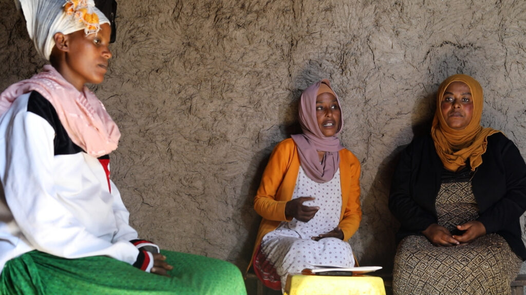 Female health workers visit a pregnant woman in her house in Ethiopia