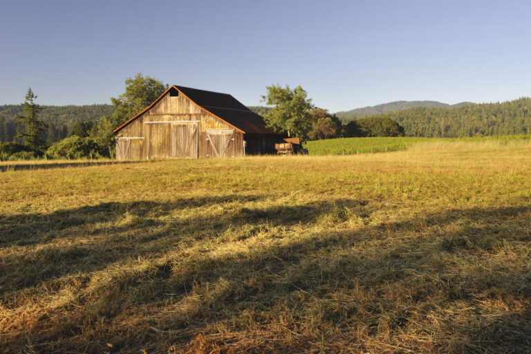 A farm in Anderson Valley, California.